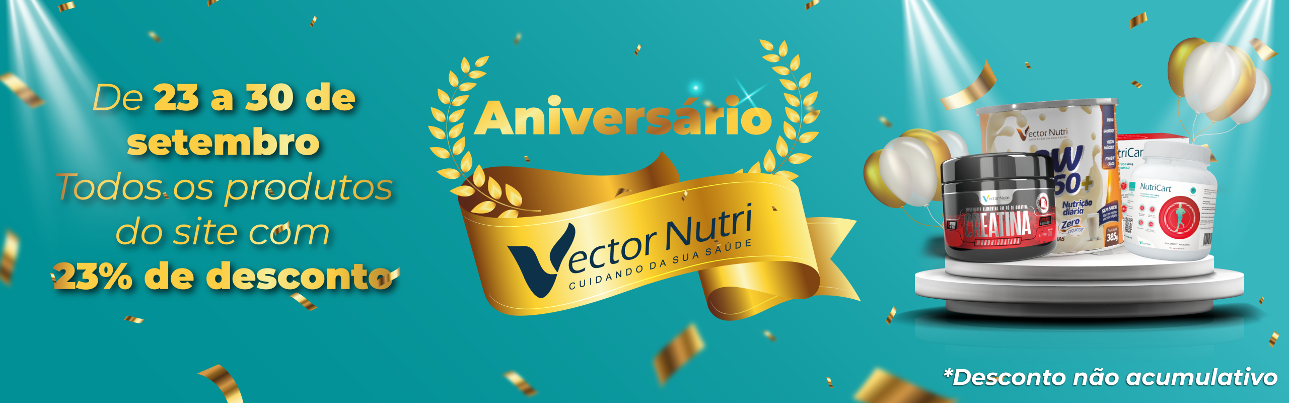 Principal 1 banner-promocao
